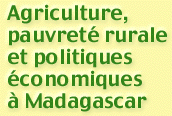 Agriculture, pauvrete rural et politiques economiques a Madagascar - book title