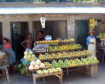 Photo de Madagascar