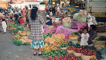 Photo de Madagascar